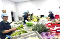 Định hướng phát triển kinh tế tập thể bền vững giai đoạn 2026-2030