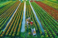 Kinh tế tập thể, hợp tác xã – giá trị hợp tác vì lợi ích chung