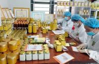 Hợp tác xã nâng tầm, nông thôn mới chuyển mình