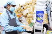 Hỗ trợ vốn cho hợp tác xã, tổ hợp tác – Đòn bẩy phát triển nông nghiệp hữu cơ bền vững