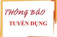 Thông báo kết quả điểm phỏng vấn, sát hạch và dự kiến người trúng tuyển kỳ xét tuyển viên chức Liên minh hợp tác xã 