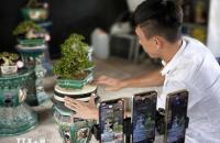 Hiệu quả tích cực từ chuyển đổi số trong hợp tác xã