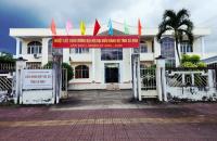 Liên minh Hợp tác xã tỉnh Cà Mau tổ chức nhiều hoạt động thiết thực chào mừng Đại hội Đảng bộ tỉnh Cà Mau lần thứ I, nhiệm kỳ 2025 – 2030