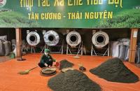 PHÁT TRIỂN HTX VÀ LIÊN HIỆP HTX: NÂNG CAO THU NHẬP NÔNG DÂN, HOÀN THÀNH VƯỢT MỤC TIÊU NÔNG THÔN MỚI