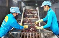 Nông dân Cà Mau giàu lên nhờ sản vật quê hương