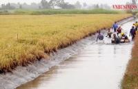 Chớp thời cơ từ ‘món quà bạc tỷ’, nhiều nông dân Cà Mau thành triệu phú, tỷ phú