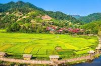 Kinh tế tập thể - Động lực thúc đẩy phát triển kinh tế địa phương