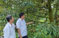 Vai trò của Kinh tế tập thể, Hợp tác xã trong phát triển kinh tế xanh