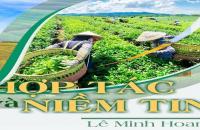 Hợp tác và niềm tin