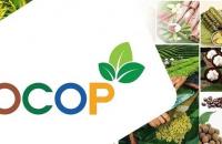 Phát triển sản phẩm OCOP, gia tăng thu nhập cho người dân