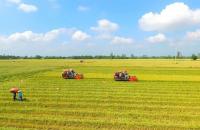 Cà Mau quy hoạch vùng sản xuất sản phẩm nông nghiệp chủ lực