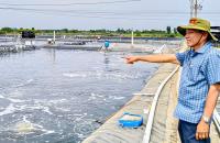 Thúc đẩy sản xuất, mở rộng thị trường